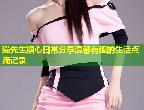 猫先生糖心日常分享温馨有趣的生活点滴记录